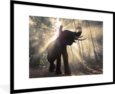 Produktbild von MuchoWow® MuchoWow® Gerahmtes Poster Elefant mit Person in hellem Sonnenlicht 90x60 cm - Poster mit zchwarzem Bilderrahmen - Wanddekoration - Fotos