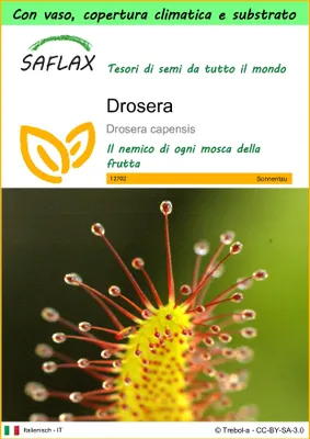 Immagine prodotto di SAFLAX Garden to go - Drosera - 200 semi - Drosera