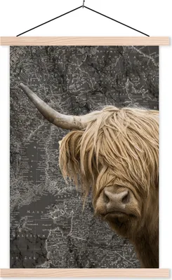 Produktbild von MuchoWow® Textilposter Schottische Hochlandrind - Kühe - Weltkarte 60x90 cm mit holzfarbenen Rahmen - Textil