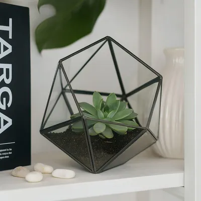 Obrázek produktu pro Geometrické skleněné terárium pro kaktusy a sukulenty