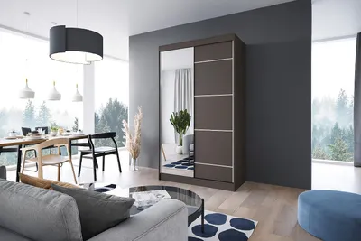 Zdjęcie produktu dla Stylowa szafa przesuwna LOKO5 100cm kolor wenge - w komplecie z dużym lustrem, półkami, drążkiem, do każdego pomieszczenia, solidna konstrukcja
