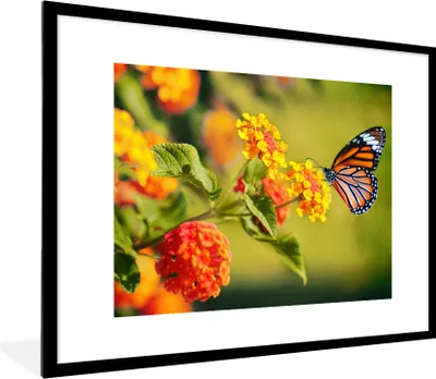 Produktbild von MuchoWow® Gerahmtes Poster Schmetterling - Insekten - Blumen - Gelb 80x60 cm - Poster mit Schwarzem Bilderrahmen Wandposter Rahmen Foto Bilder - Schlafzimmer-Dekorationen - Fotoposter
