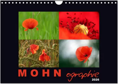 Produktbild von MOHNographie (Wandkalender 2026 DIN A4 quer), CALVENDO Monatskalender