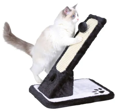 Produktbild von TRIXIE Kratzbrett - schwarz/creme - 42 cm
