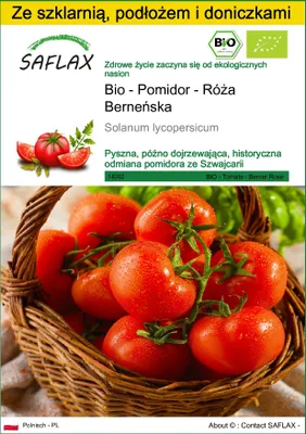 Zdjęcie produktu dla SAFLAX - Zestaw do uprawy - Bio - Pomidor - Róża Berneńska - 10 Nasiona - Z mini szklarnią, podłożem uprawowym i 2 doniczkami - Solanum lycopersicum