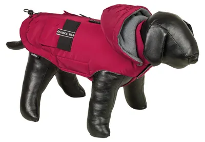 Produktbild von Nobby Hundemantel Canta bordeaux, Größe: 40 cm
