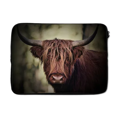 Produktbild von MuchoWow® Laptop Hülle 14 ZollSchottischer Hochländer - Licht - Porträt - Natur Laptoptasche - Laptoptasche - Stoßsicher - Schutzhaube