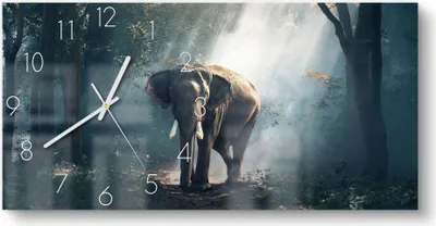Produktbild von DEQORI Glasuhr 60x30 cm Zahlen 'Elefant im Wald' Wanduhr Glas Uhr Design leise