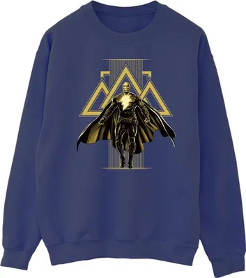 Produktbild von DC Comics - Sweatshirt für Herren BI11173 (L) (Marineblau)