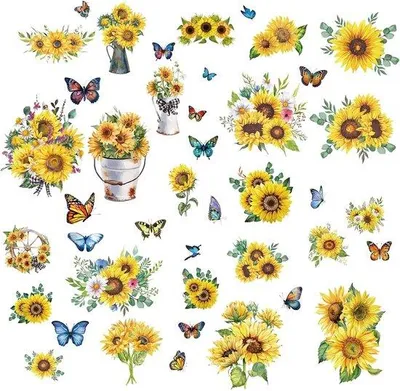 Image de Autocollants décoratifs d'été : 8 feuilles de papillons pour fenêtres