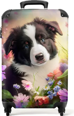 Produktbild von NoBoringSuitcases.com® Koffer Handgepäck Trolley Rollkoffer Kleine Reisekoffer mit 4 Rollen - Welpe - Sonne - Blumen - Natur - Border Collie - Hund - Cabin Size < 55x40x23 cm & 55x40x20 cm - Fotokoffer - Kabinenkoffer - BoardgepäckHandgepäck Koffer 55x35x20 cm, 36L,