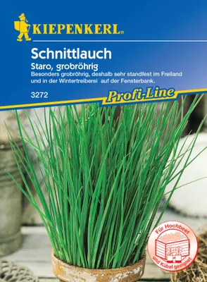 Produktbild von Schnittlauch Staro | Schnittlauchsamen von Kiepenkerl [MHD 01/2024]