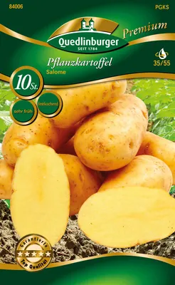 Produktbild von Pflanzkartoffel Salome (10 Stück) (gelb, festkochend, sehr früh) | Pflanzkartoffeln von Quedlinburger