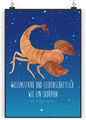 Produktbild von Mr. & Mrs. Panda Bild Sternzeichen Skorpion DIN A5 - Sternenhimmel Blau - Geschenk, Oktober, Plakat, Geburtstag November, drucke, Deko, Wandbild, Skorpione