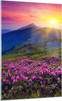 Produktbild von Bilder auf glas - Einteilig - Wiese Berge Landschaft - 70x100cm - Glasbilder - Wandbilder - Bilder - zum Aufhängen bereit - Wanddekoration aus Glas - Glas Bilder - Wandbild auf Glas - GPA70x100-2676