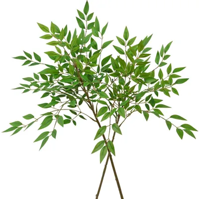 Obrázok produktu pre Umelé vetvičky náandiny, 2 kusy, 75/90 cm, zelené, vhodné naaranžovanie do vázy alebo na dekoráciu stola