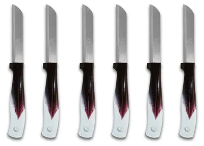 Produktbild von Solingen Obstmesser 6er Set, Schälmesser, Gemüsemesser, Allzweckmesser Edelstahl, Messer, rostfrei Küchenmesser, Tafelbesteck Messerset, Alltagsmesser