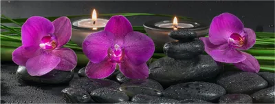 Produktbild von Glasbild 80x30cm Wandbild aus Glas rosa Orchideen Steine Wellness Deko