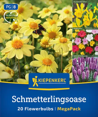 Produktbild von Kiepenkerl Mega Pack Blumenzwiebeln Schmetterlingsoase 20 Pflanzen
