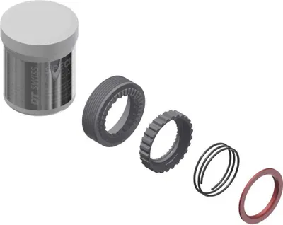 Image de DT Swiss Service Kit Star Ratchet EXP 36 dents, HWYXXX00N0042S, argent (1 kit)