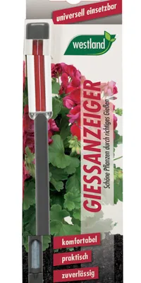 Produktbild von Westland Gießanzeiger klein anthrazit 16 cm