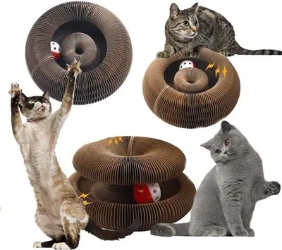 Produktbild von Kratchbrett Spielzeug mit Klingelball für Katzen