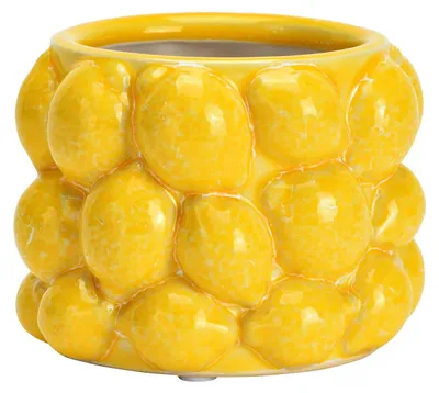 Image de Pot de fleurs citron en céramique