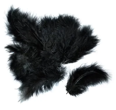 Immagine prodotto di Piume Meyco Marabu in nero 17 pezzi lunghi circa 10-12 cm