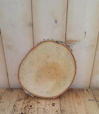 Produktbild von Dekorationsscheibe aus Naturprodukt mit einem Durchmesser von 25 bis 45 cm