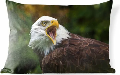 Produktbild von MuchoWow® Outdoor Kissen - Ein krächzender Weißkopfseeadler - 50x30 cm - Wetterfest - Lounge Kissen - Sofa kissen - Wohnzimmer Dekoration