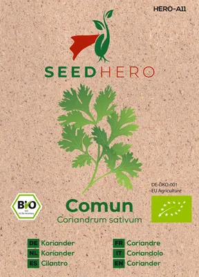 Produktbild von Seedhero  Koriander Comun Samen