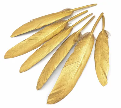 Produktbild von Vintageparts Federn echt goldfarben ca. 11-15 cm, 6 Stück