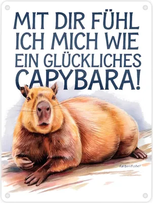 Produktbild von Glücklich mit dir- fröhliches Capybara Metallschild in 15x20 cm