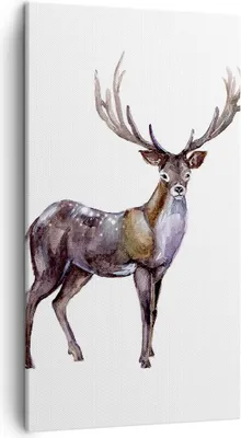 Produktbild von Bild auf Leinwand - Leinwandbild - Liebes Tier Wild Wald - 45x80cm - Wand Bild - Wanddeko - Leinwanddruck - Bilder - Kunstdruck - Wanddekoration - Leinwand bilder - Wandkunst - PA45x80-2938