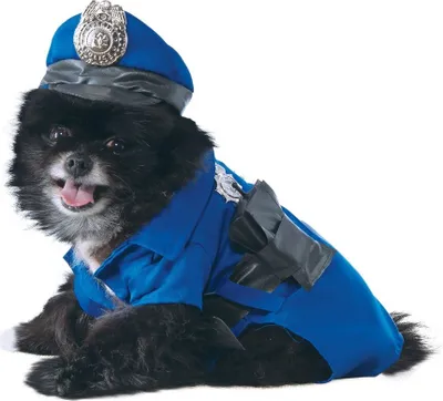Produktbild von Bristol Novelty - Hundekostüm BN4945 (M) (Blau)
