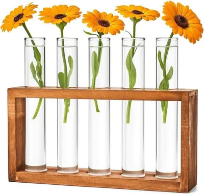 Image de Cieex Set de vases à éprouvettes avec support en bois - Décoration moderne pour plantes