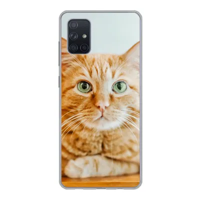 Produktbild von MuchoWow® Handyhülle Schutzhülle Hülle für Samsung Galaxy A71 Katze - Holz - Schrank Silikon Softcase Handy Hülle - Kartenbesitzer