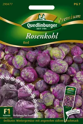 Produktbild von Rosenkohl Redarling | Rosenkohlsamen von Quedlinburger