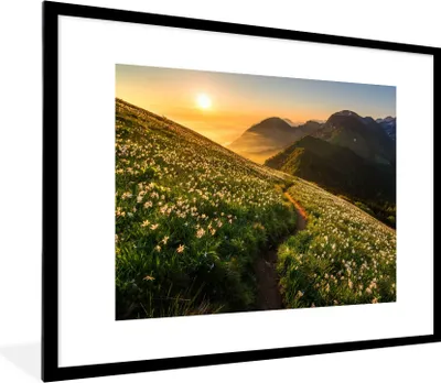 Produktbild von MuchoWow® Gerahmtes Poster Blumen - Sonne - Berge 80x60 cm - Poster mit Schwarzem Bilderrahmen Wandposter Rahmen Foto Bilder - Schlafzimmer-Dekorationen - Fotoposter