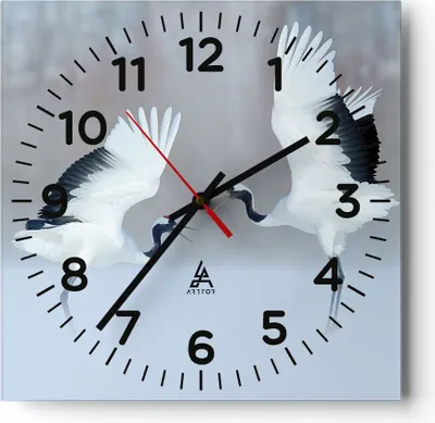 Produktbild von Wanduhr - Quadrat - Glasuhr - Kraniche kämpfen tanzen - 30x30cm - Schleichendes Uhrwerk - Lautlos - zum Aufhängen bereit - Dekoration Modern - Wanddekoration aus Glas - C4AC30x30-4497