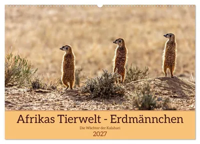 Produktbild von Afrikas Tierwelt - Erdmännchen (Wandkalender 2027 DIN A2 quer), CALVENDO Monatskalender