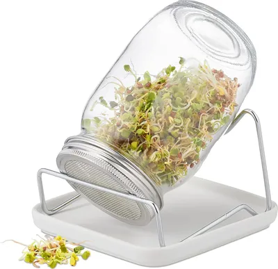 Imagen del producto de Relaxdays, recipiente para germinar semillas con soporte y cuenco de cerámica, ideal para cultivar brotes, 850 ml, transparente