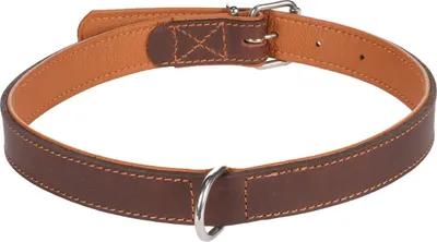 Zdjęcie produktu dla Flamingo Memphis – wyściełana obroża w kolorze brązowym, wymiary: 55–65 cm / 27 mm