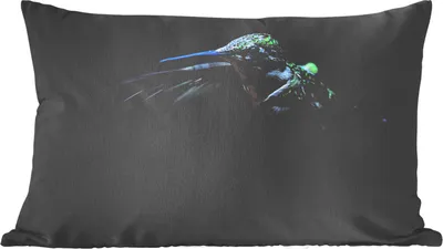 Produktbild von MuchoWow® Zierkissen Sofakissen Wohnzimmer Dekokissen 60x40 cm Kolibri - Federn - Schwarz - Kopfkissen - Polster mit Foto