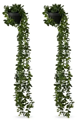 Productafbeelding van Relaxdays kunstplanten om op te hangen, set van 2, kunstplanten in pot, kunst-eucalyptus, zo echt ogend, groen/zwart, AI-gegenereerde afbeelding