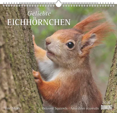 Produktbild von Geliebte Eichhörnchen 2026 - DUMONT Wandkalender - mit den w