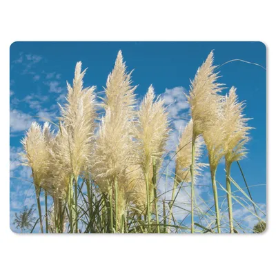 Produktbild von MuchoWow® Mauspad Mousepad Pampasgras - Pflanze - Natur 23x19 cm - Mousepads - Maus Mat - Pad - Mausunterlage - Schreibtischunterlage - Mauspad