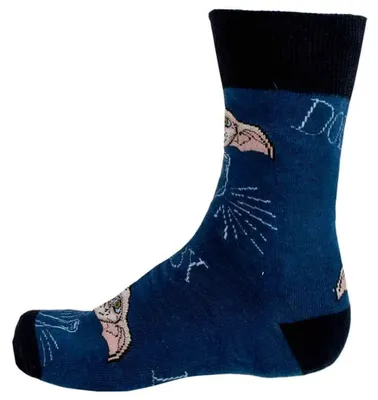 Obrázek produktu pro Sada psacích potřeb Harry Potter Dobby se sešity a pery