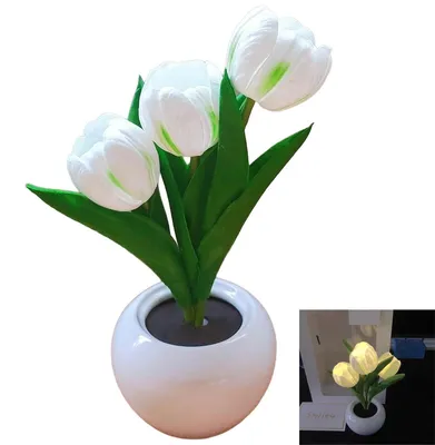 Produktbild von LED Tulpen Nachtlicht Dekolampe für Schlafzimmer Wohnzimmer Geschenk