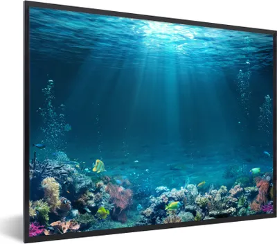 Produktbild von MuchoWow® MuchoWow® Gerahmtes Poster Ozean - Fische - Korallen 40x30 cm - Poster mit zchwarzem Bilderrahmen - Kunstposter - Wanddekorationen